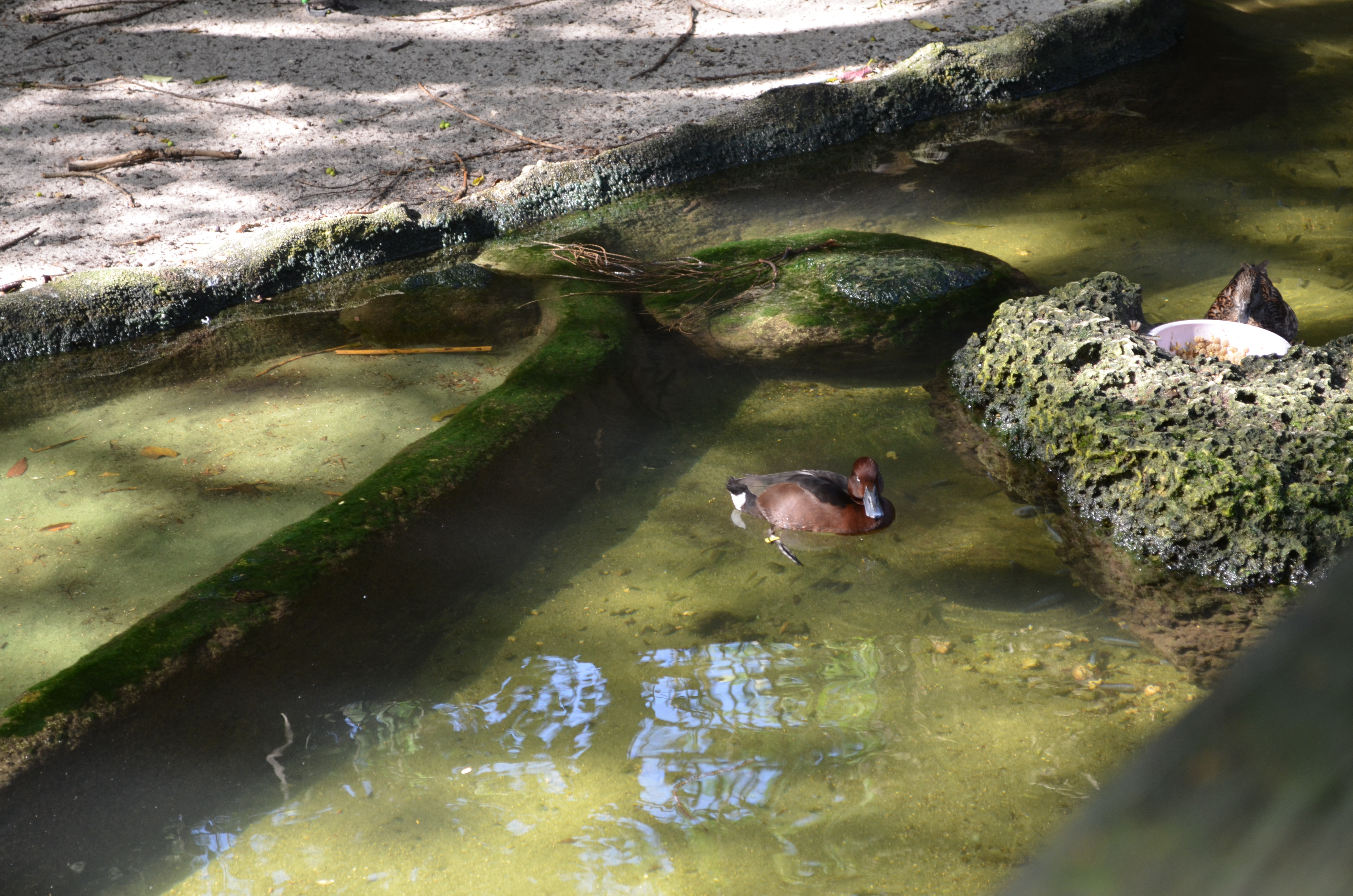 ./2015/32 - Christmas/DSC_0356.JPG